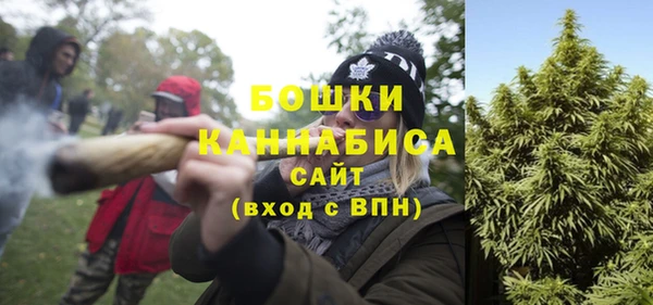 амф Арсеньев