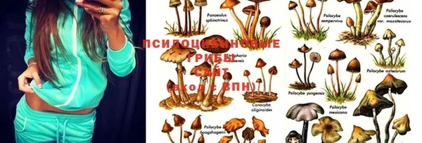 винт Армянск